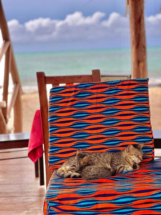 Jambiani White Sands Bungalows Jambiani (Zanzibar) Exterior foto